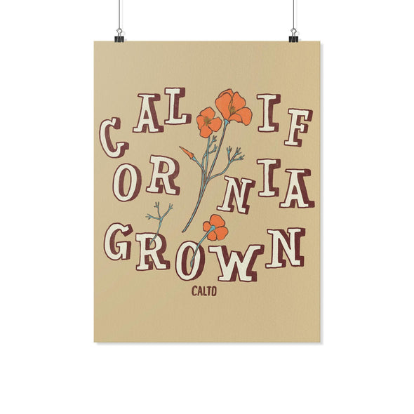 CA Grown Poppies Cream Poster-CA LIMITED