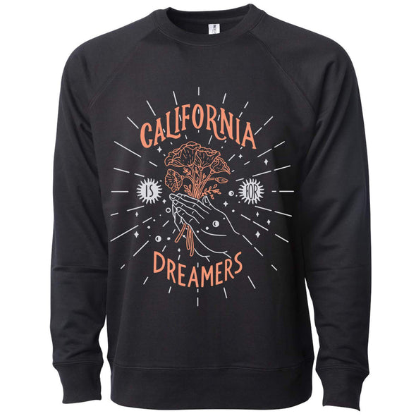 California Dreamers Raglan Sweater-CA LIMITED