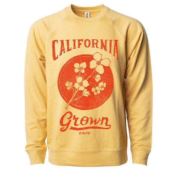 California Grown Circle Raglan Sweater-CA LIMITED