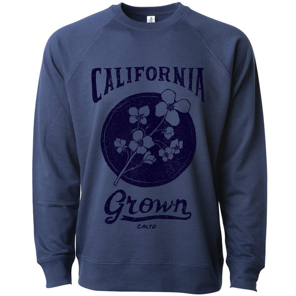 California Grown Circle Raglan Sweater-CA LIMITED