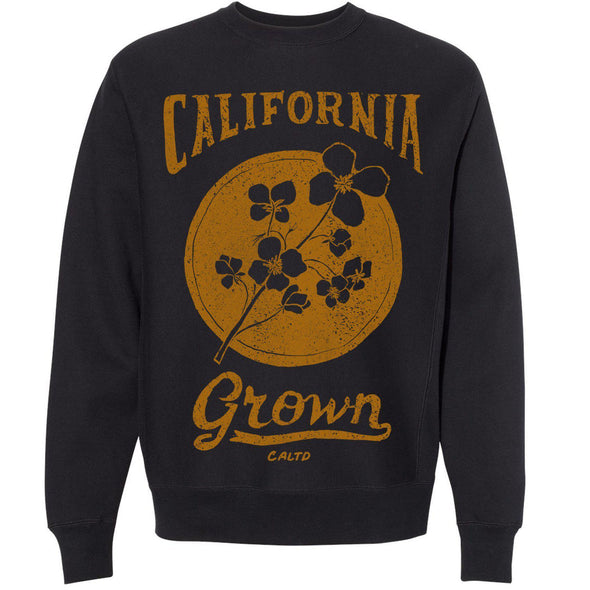 California Grown Circle Raglan Sweater-CA LIMITED
